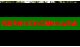 探索海角社区的无限魅力与乐趣