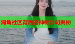 海角社区背后的神秘公司揭秘