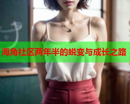 海角社区两年半的蜕变与成长之路