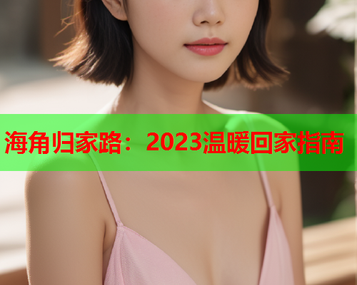 海角归家路：2023温暖回家指南